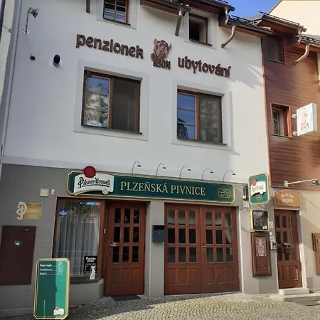 Nad Bisonem Inn Hlinsko